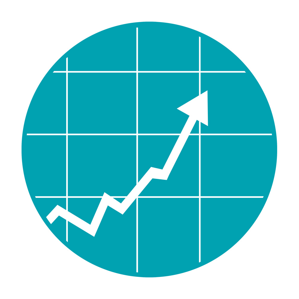 Stock Dematerialisation